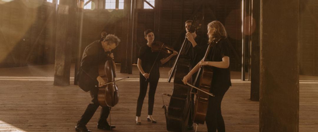 An Evening with the ACO Collective Quartet