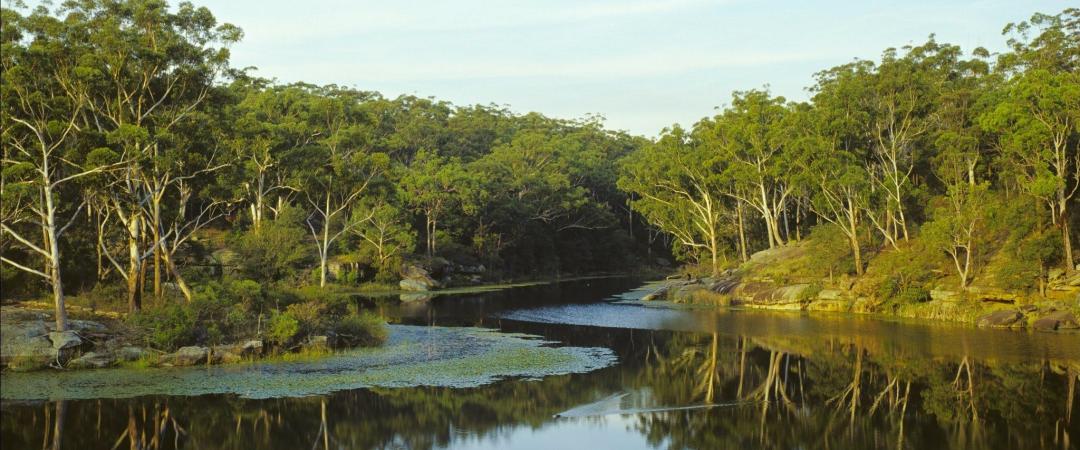 Lake Parramatta Reserve and recreation area