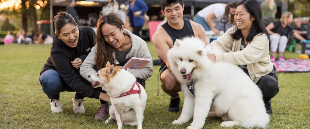 Family with 2 white dogs