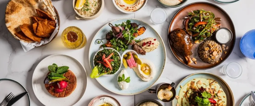 Table of yummy food Lebanese food like flat bread, hummus, shank shanks, cinnamon rice