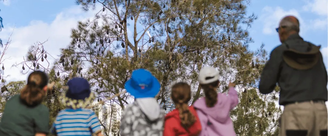Children and adults in colorful clothing look up at tall trees beneath a bright blue sky, creating a curious, peaceful outdoor scene.