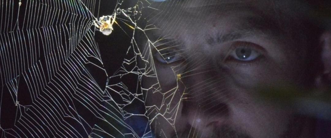 A man with a headlamp peers closely at a large spider web in the dark. The light casts shadows, creating a mysterious and focused atmosphere.