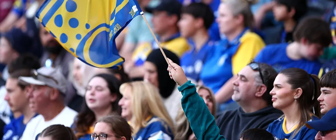 A crowd of enthusiastic sports fans wearing blue and yellow gear, waving flags and cheering energetically, creating a lively and spirited atmosphere.