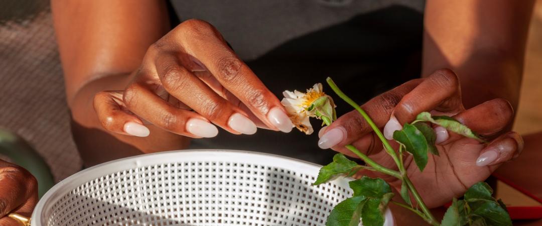Close-up of hands with light pink nails delicately removing petals from a flowering stem over a white colander, evoking a sense of calm focus.