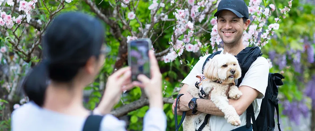 A smiling man cradles a small dog beneath blooming pink cherry blossoms as a woman photographs them in a joyful garden scene.