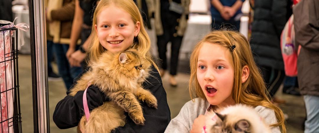 CAT LOVERS FESTIVAL – SYDNEY