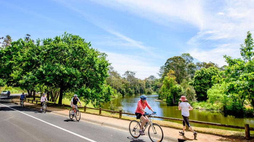 Parramatta Park, See & Do | At Parramatta