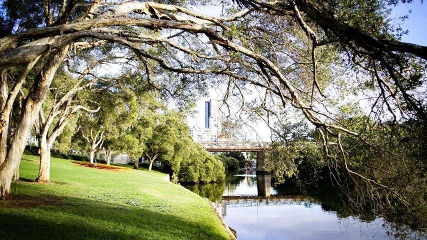 Parramatta River from Parramatta park