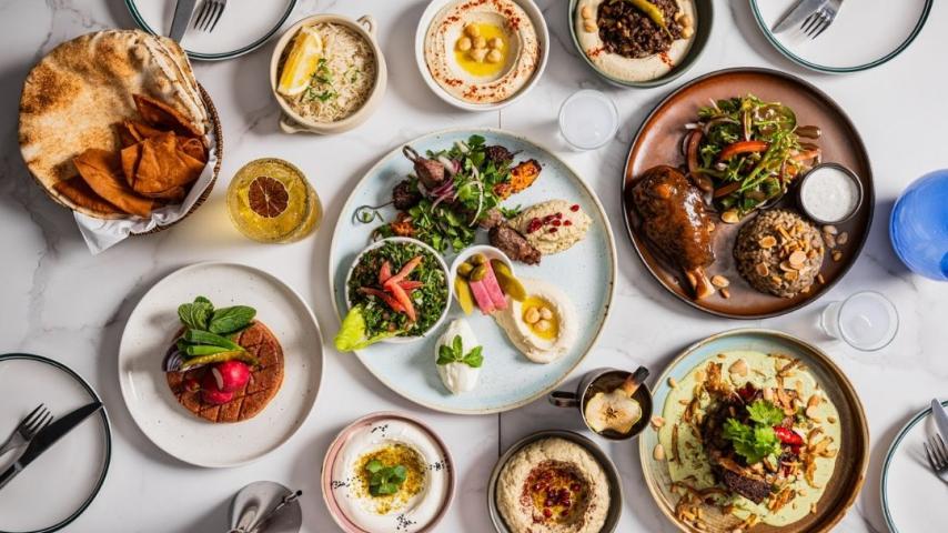 Table of yummy food Lebanese food like flat bread, hummus, shank shanks, cinnamon rice
