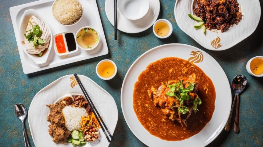 Yummy food on table like rice and chicken, laska and satay chicken